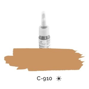 Color ET-EvoluTion Eyebrow C910