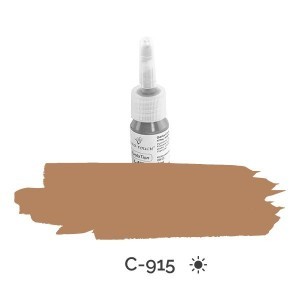 Color ET-EvoluTion Eyebrow C915