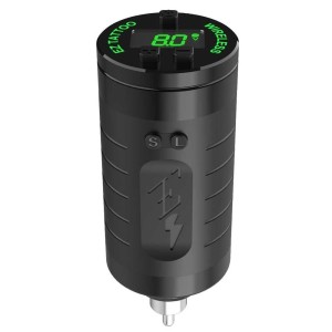 EZ EvoTech-Battery